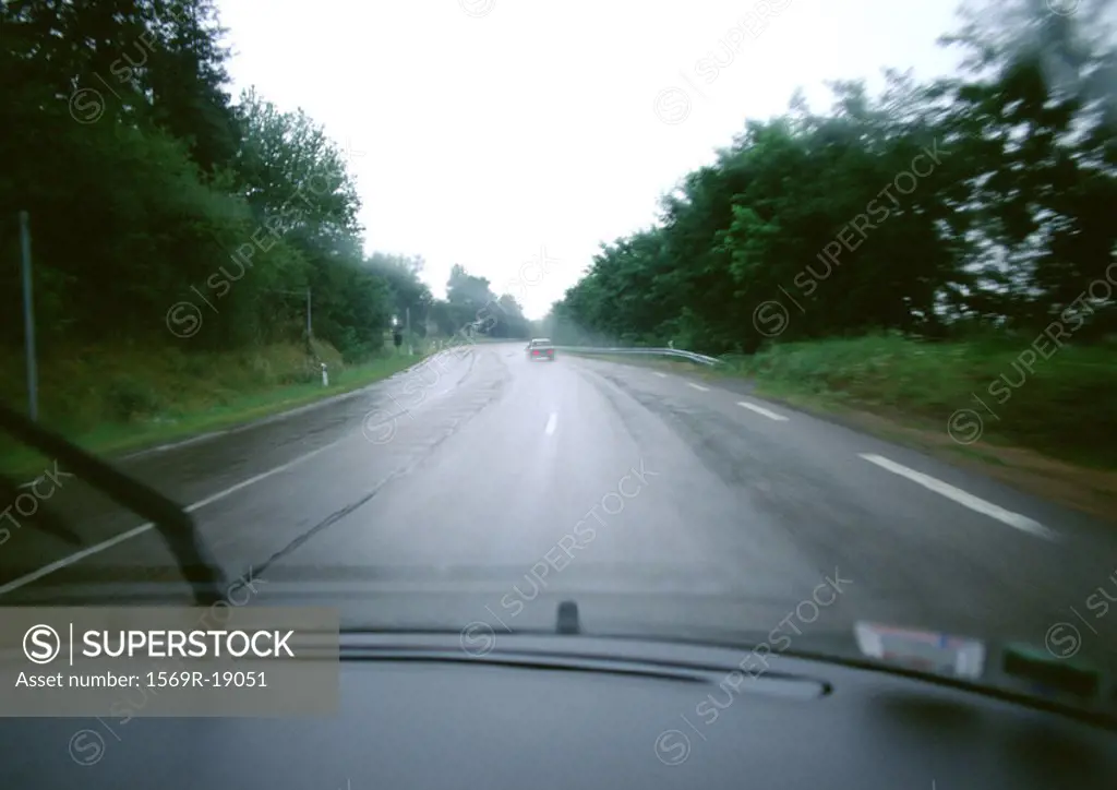 Road through woods, view from car