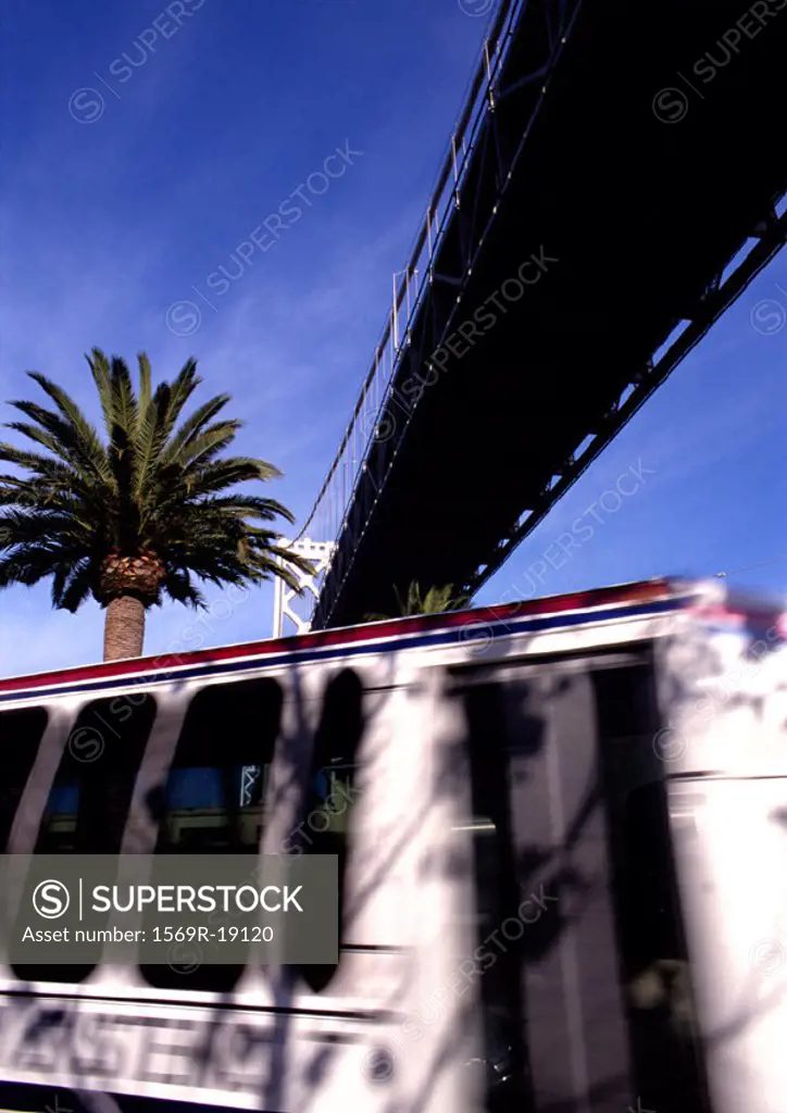 California, San Francisco, bus with palm tree in background, under bridge