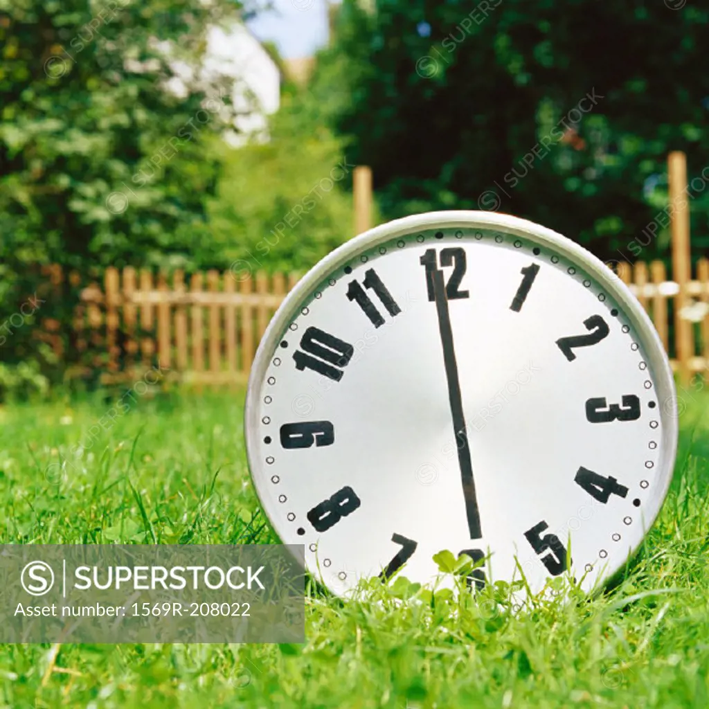Clock on the grass