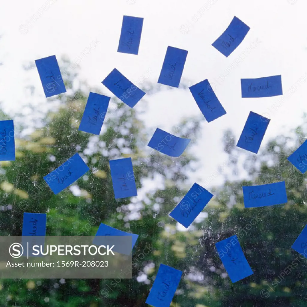 Blue adhesive notes on pane of glass