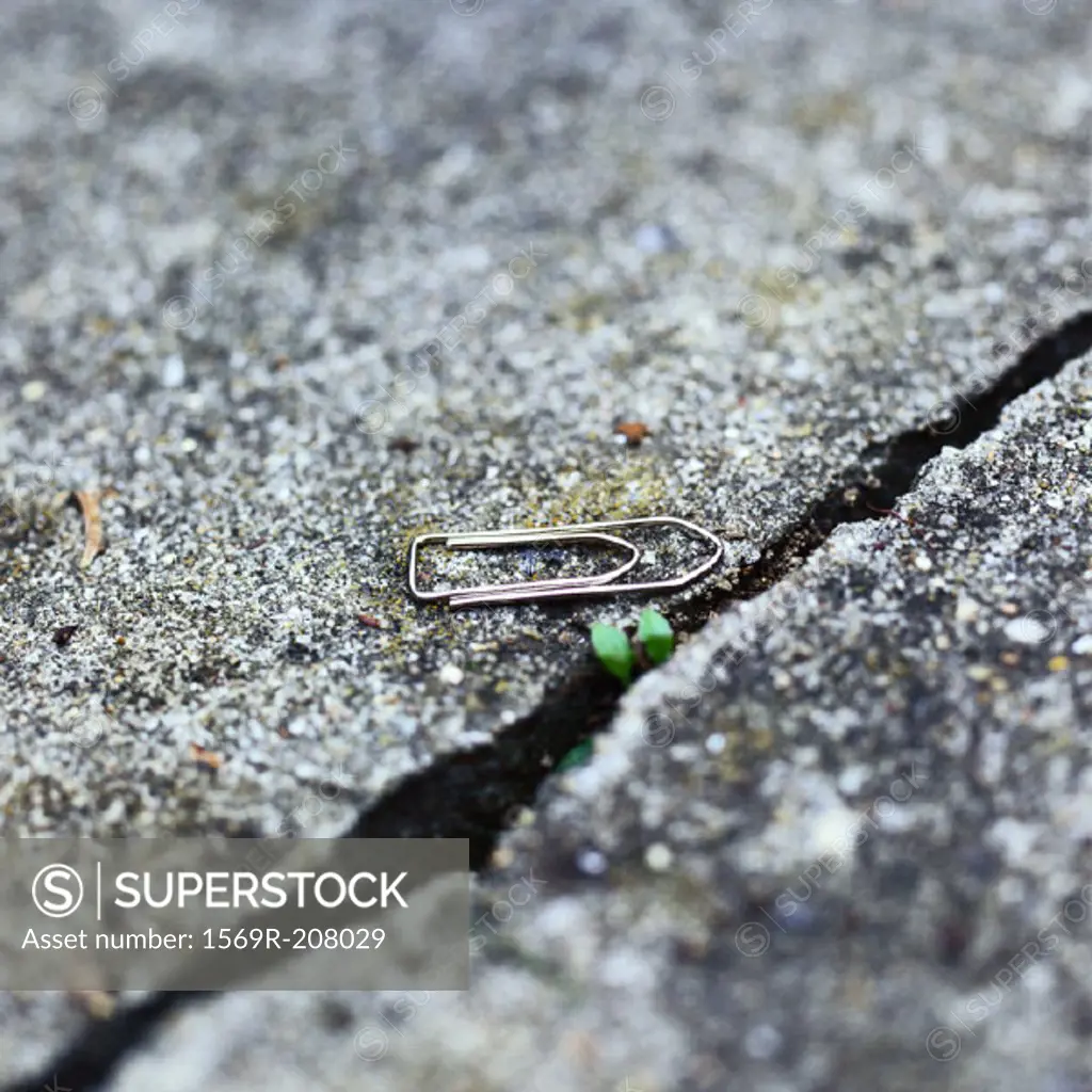 Paper clip on ground near crack