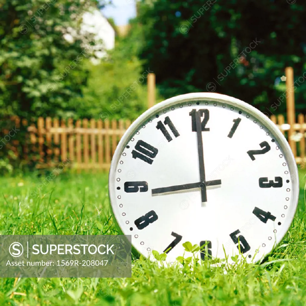 Clock on the grass