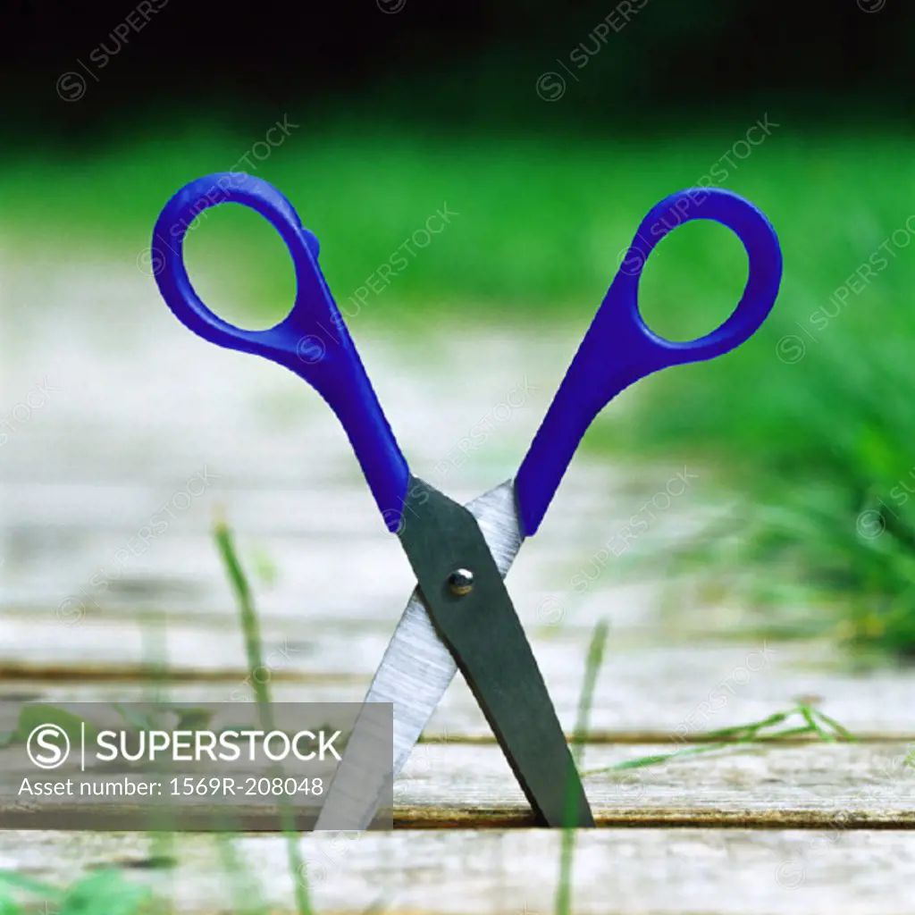 Scissors sticking in the ground, close-up