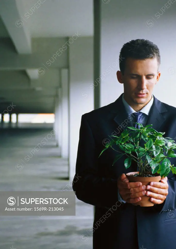 Businessman holding potted plant in both hands, looking down