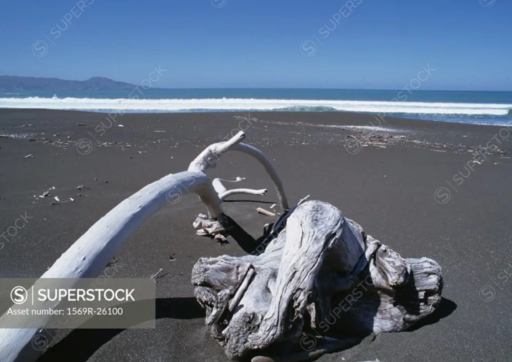 New Zealand, driftwood on beach
