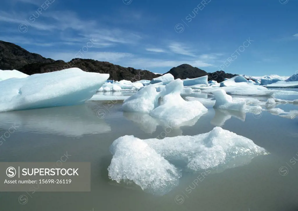 Chile, Patagonia, Torres del Paine National Park, glacial ice floating on water