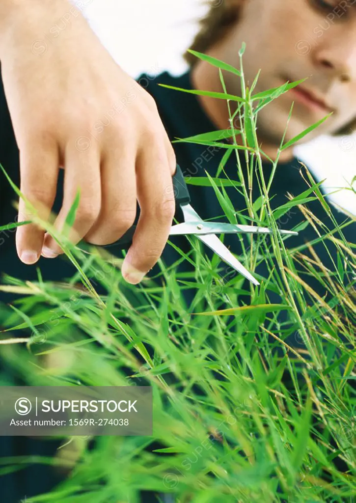 Man cutting long grass with scissors