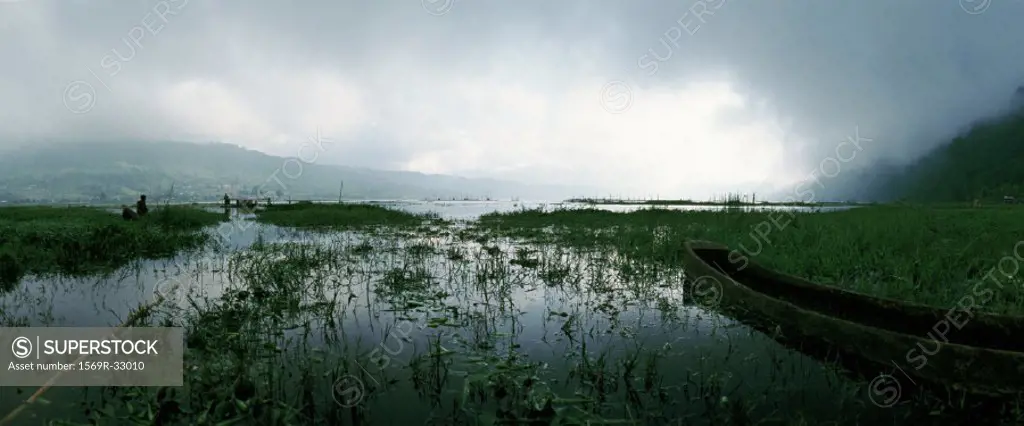 Indonesia, marshy landscape, panoramic view