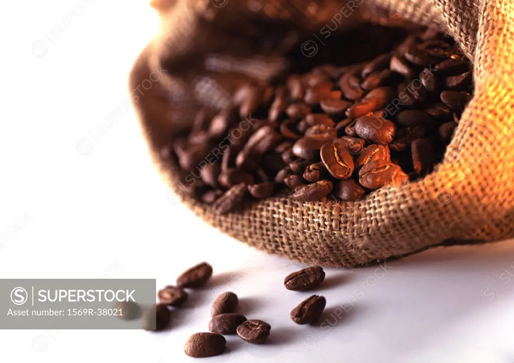 Coffee beans spilling out of burlap sack