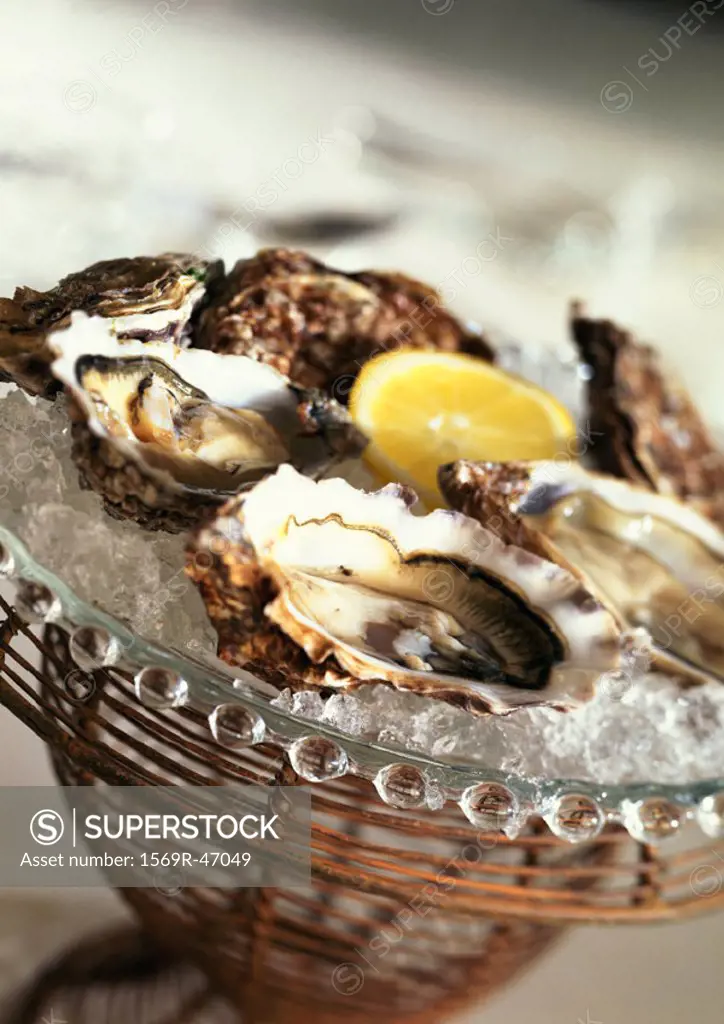 Oysters on ice, close-up