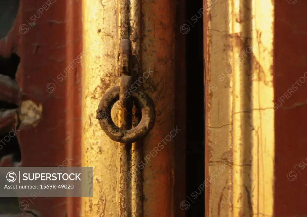 Metal ring on door, close-up