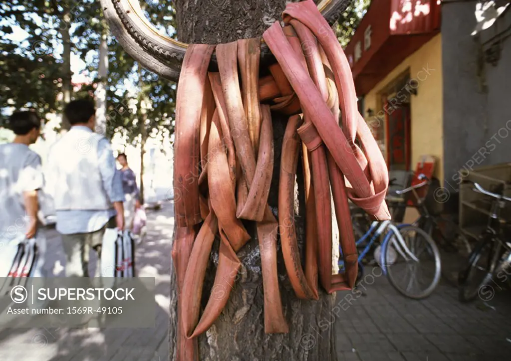 China, Beijing, rubber tubes hanging next to tree, people in background