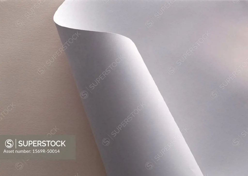 White paper, partially rolled up, extreme close-up