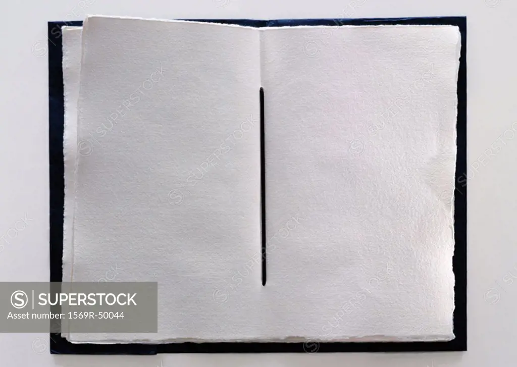 Handmade book with blank pages, close-up