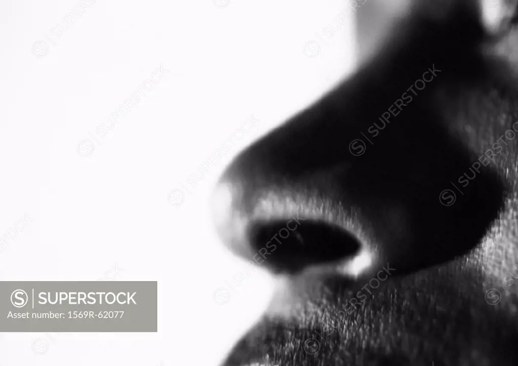 Man´s nose, close up, black and white