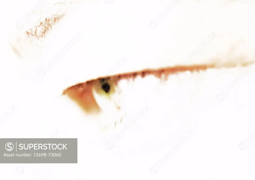 Woman´s eye, overexposed, close up