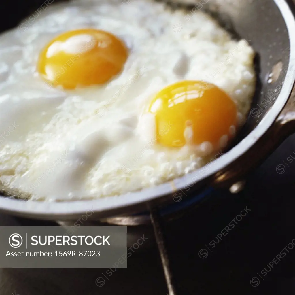 Close-up of eggs frying in a pan