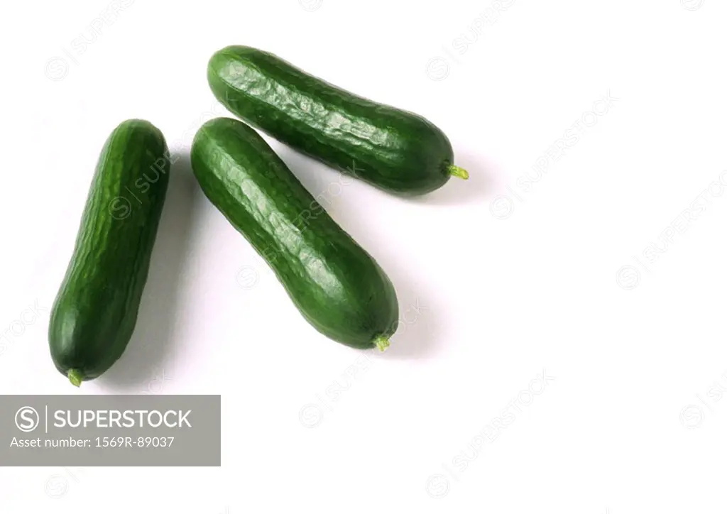 Cucumbers, full length