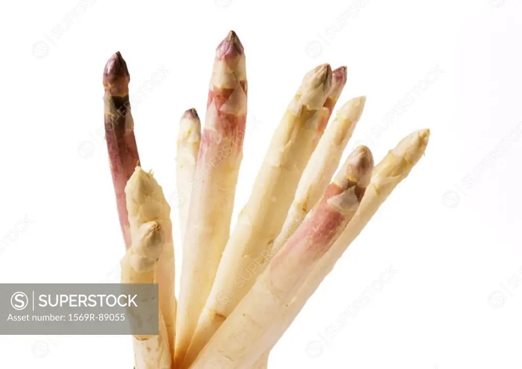 White asparagus tips, close-up