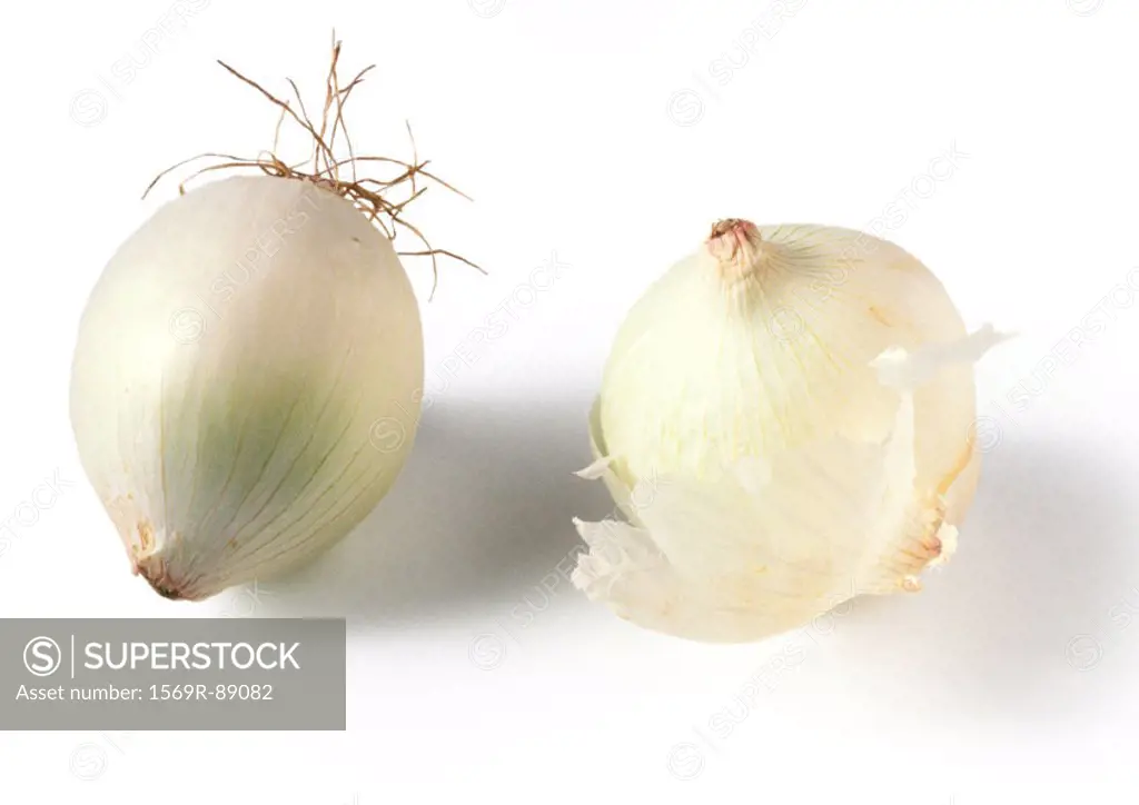 Two white onions, close-up