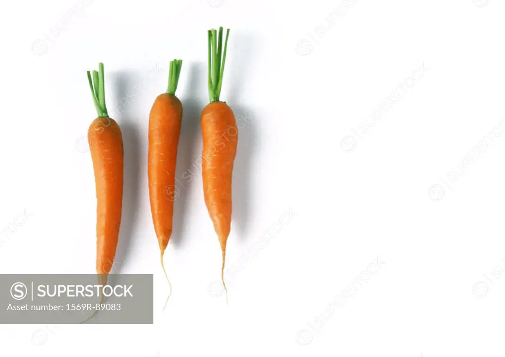Three carrots, full length