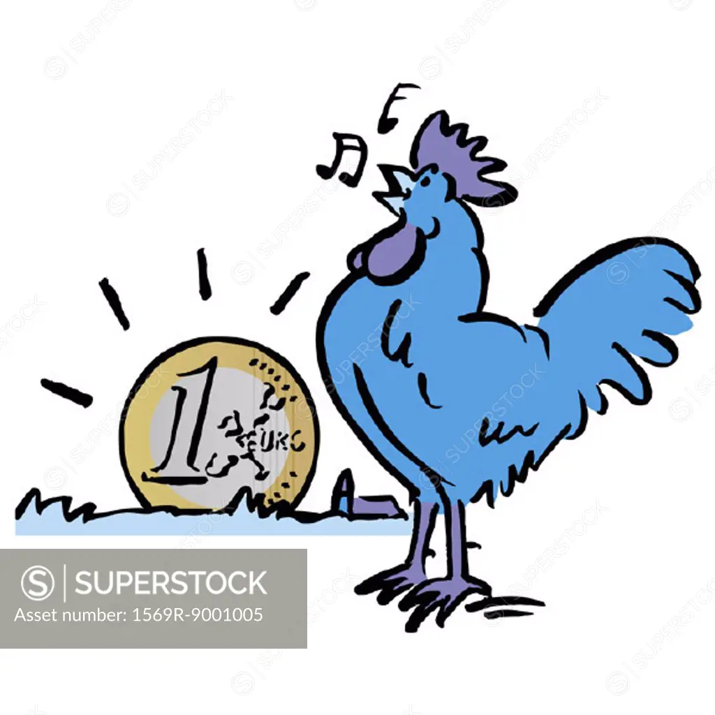 Rooster crowing in front of shining euro coin