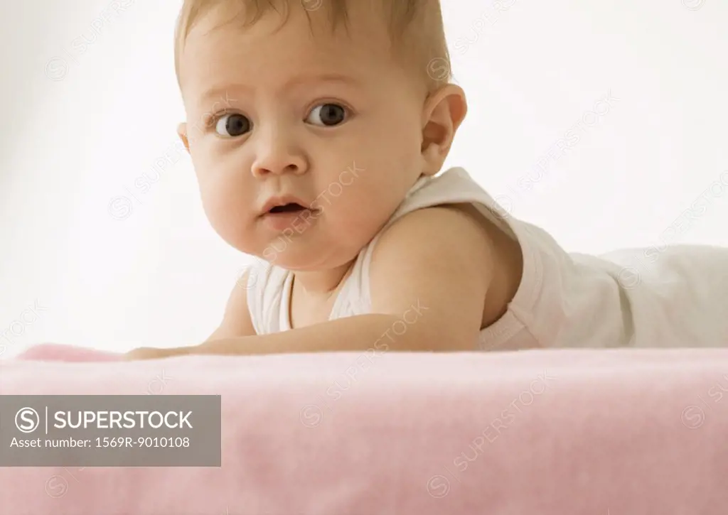 Baby lying on stomach, holding head up