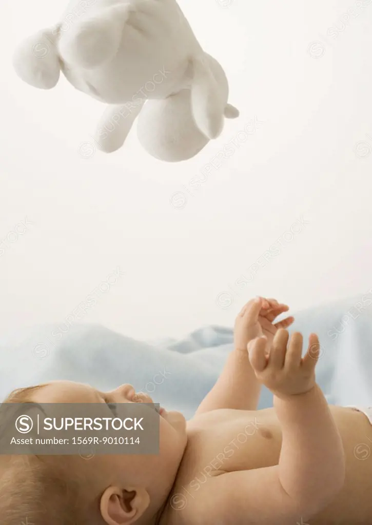 Baby looking up at toy