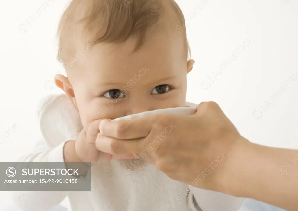 Baby eating from dish