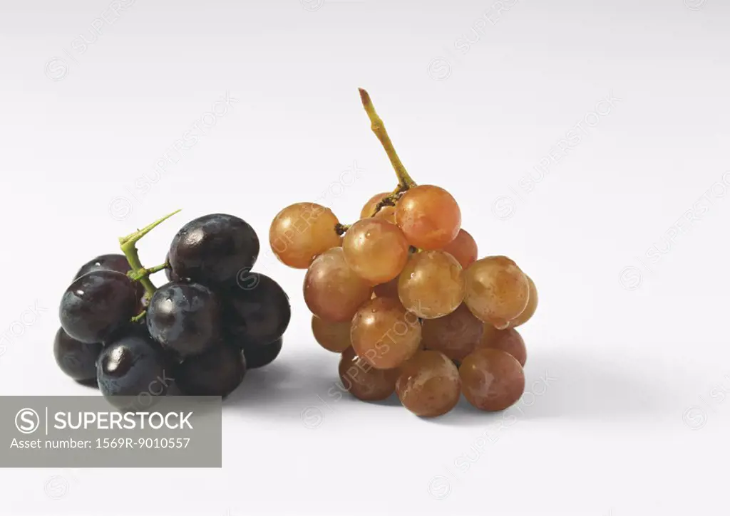 Black and red grapes