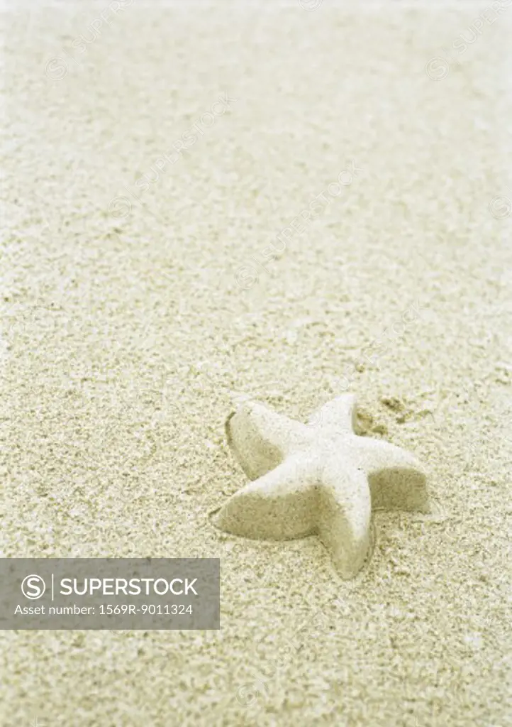 Starfish shape molded out of sand on beach