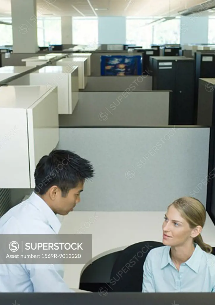Two office workers talking in cubicle