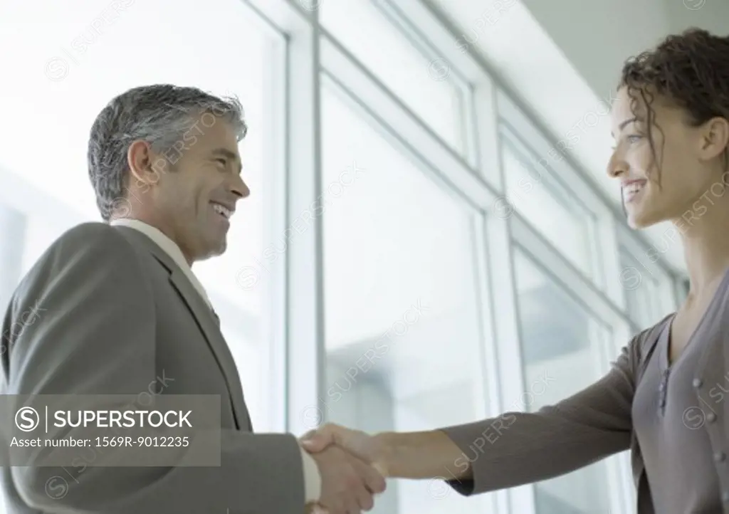 Businessman shaking hands with woman