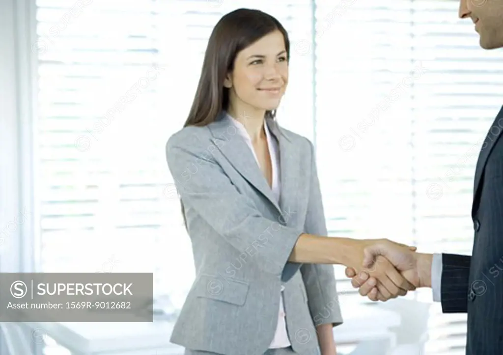 Businesswoman shaking hands