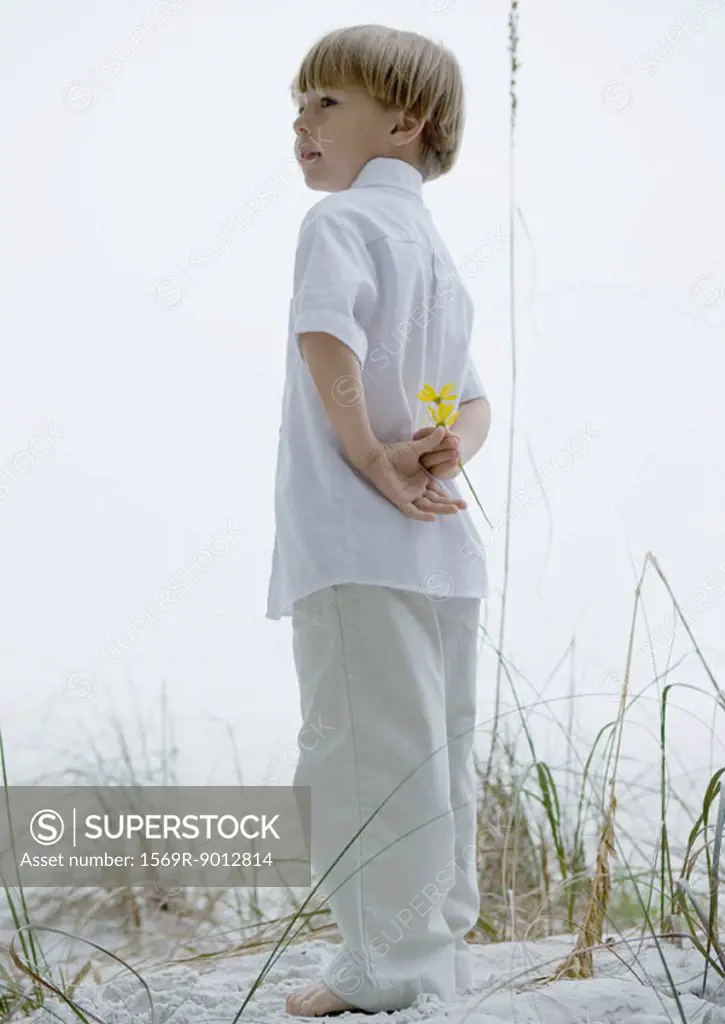 Little boy standing in dunes, holding flowers behind back