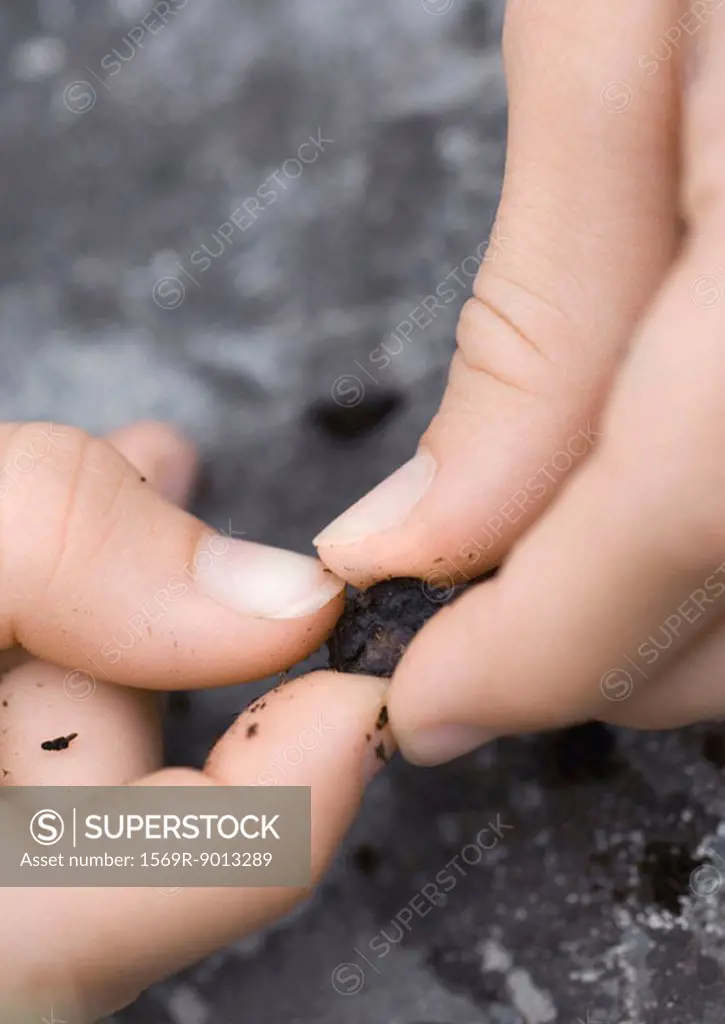 Fingers holding clod of dirt