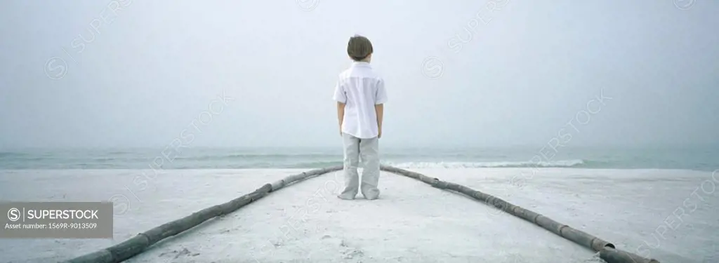 Boy standing in path on beach, facing horizon, rear view