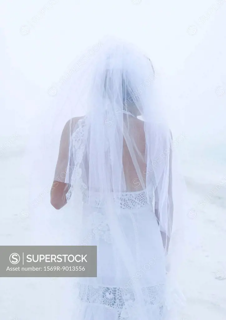 Bride on beach, rear view
