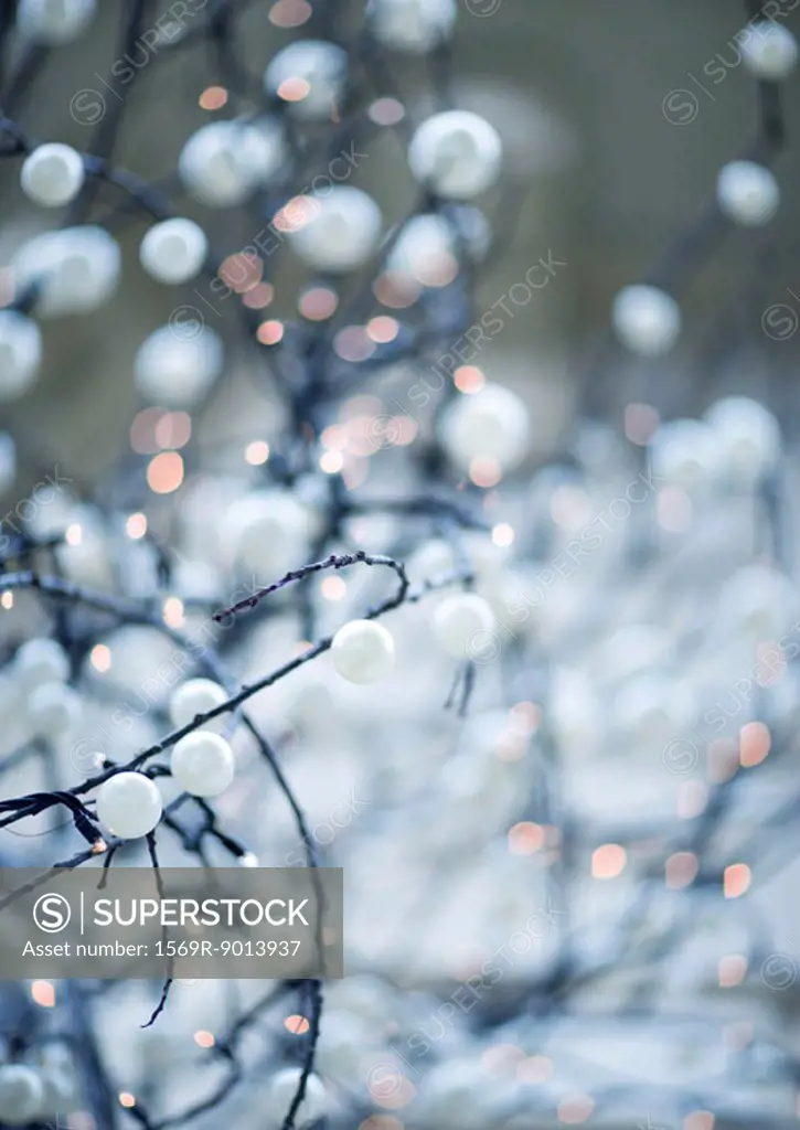Bare branches with christmas lights