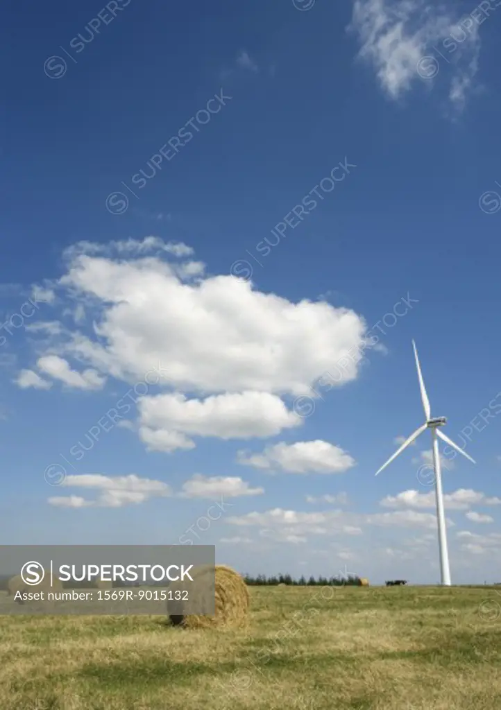 Windturbine and field