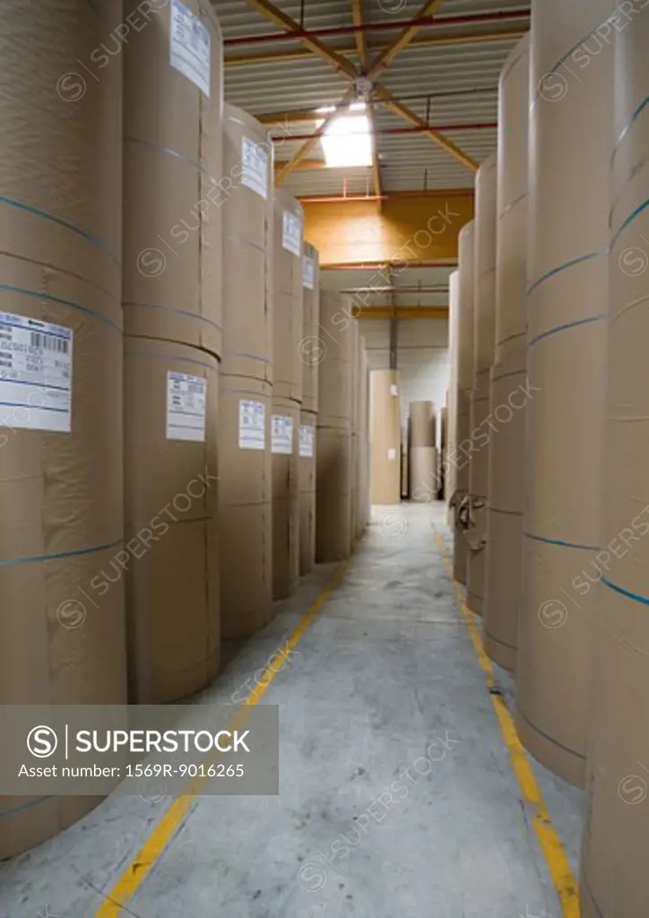 Rolls of paper in warehouse