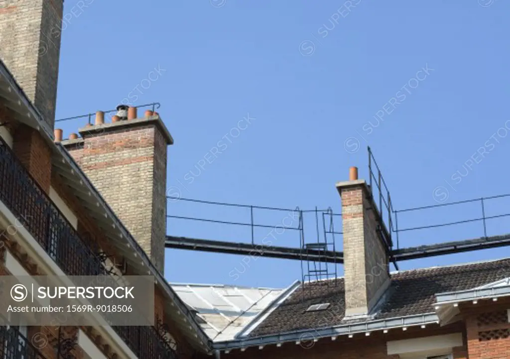 Building rooftops