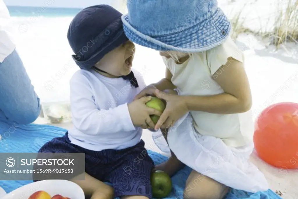 Family having picnic on beach, siblings fighting over apple