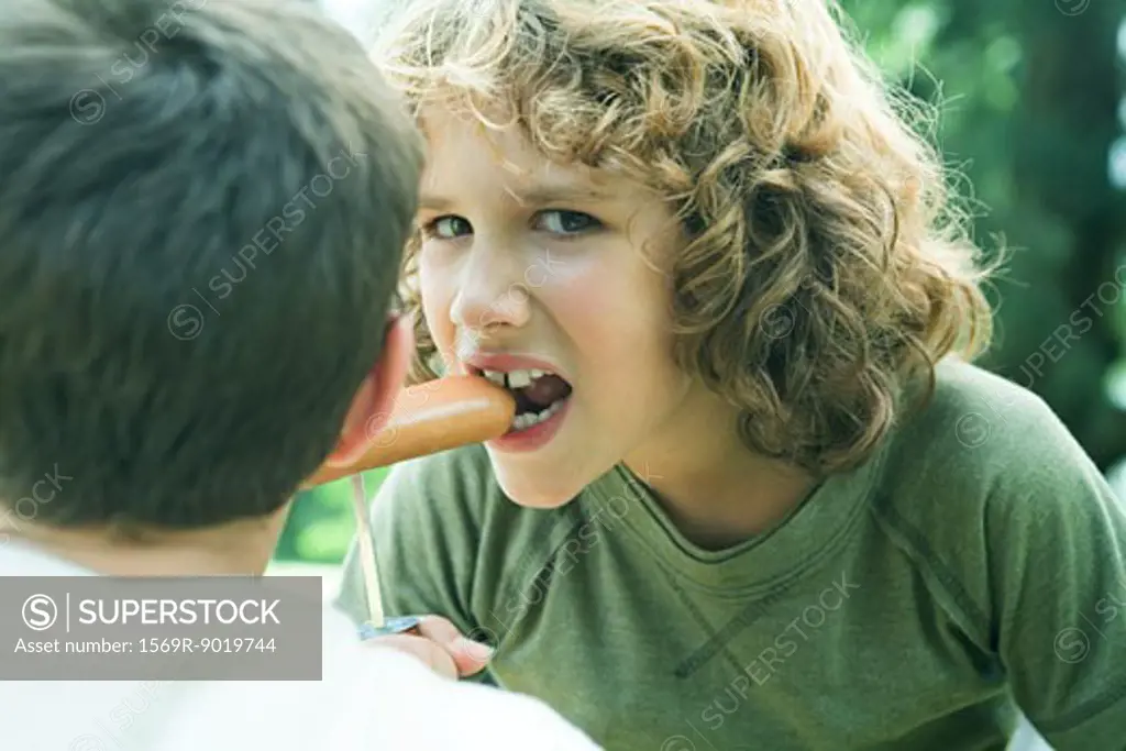 Boy eating hotdog from stake