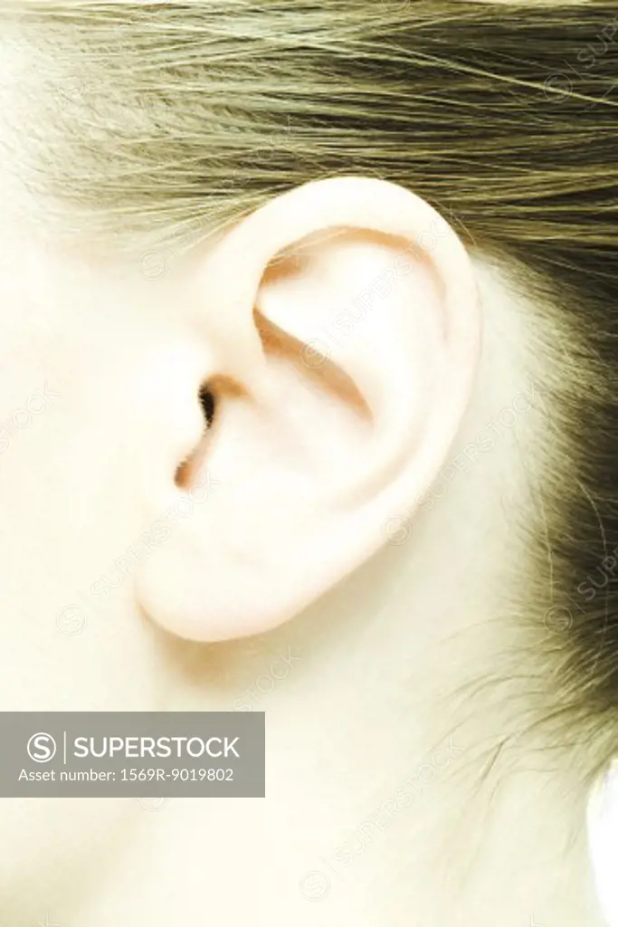 Teenage girl's ear, extreme close-up