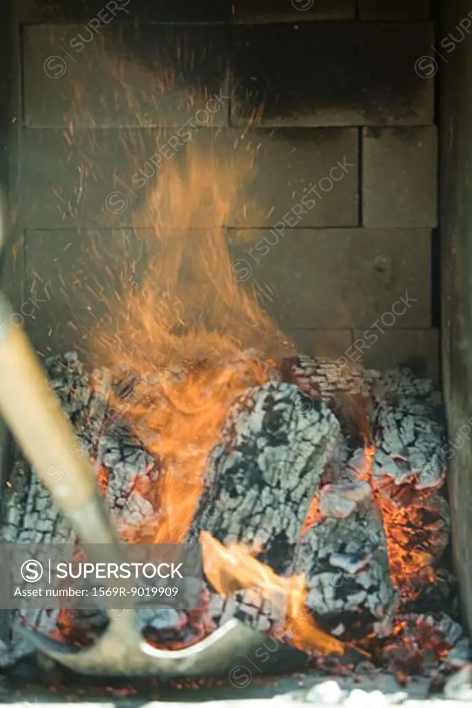 Person shoveling logs in wood oven 