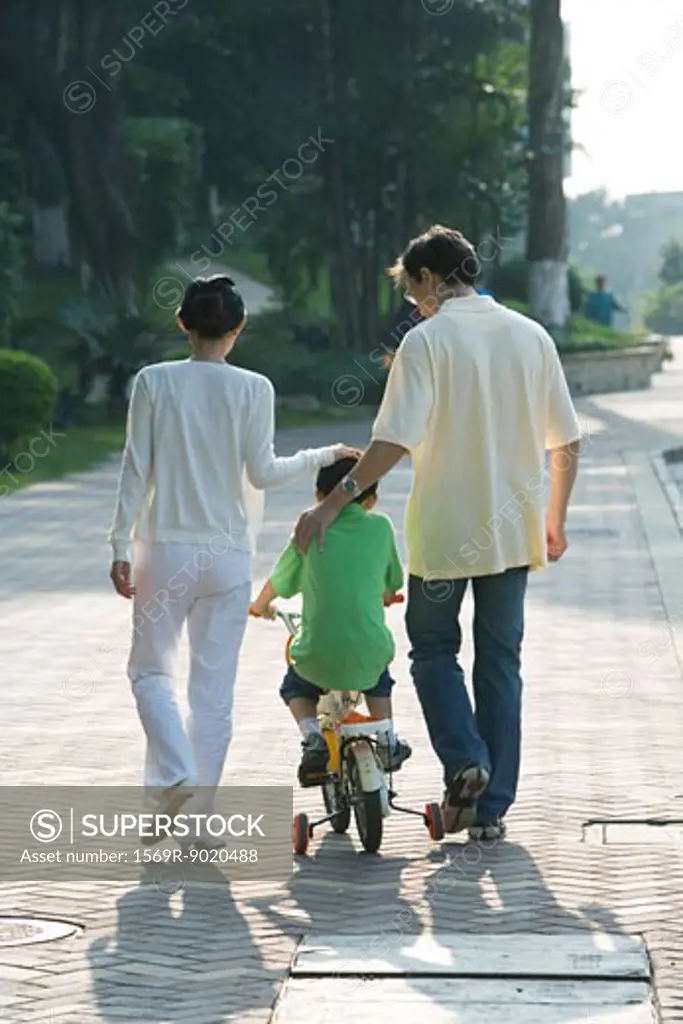 Parents walking next to son on bicycle with training wheels, rear view