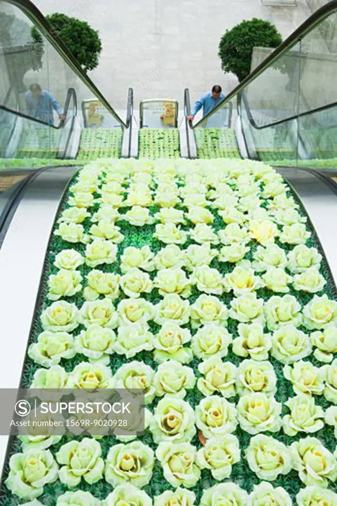 High angle view of escalators, roses decorating middle section