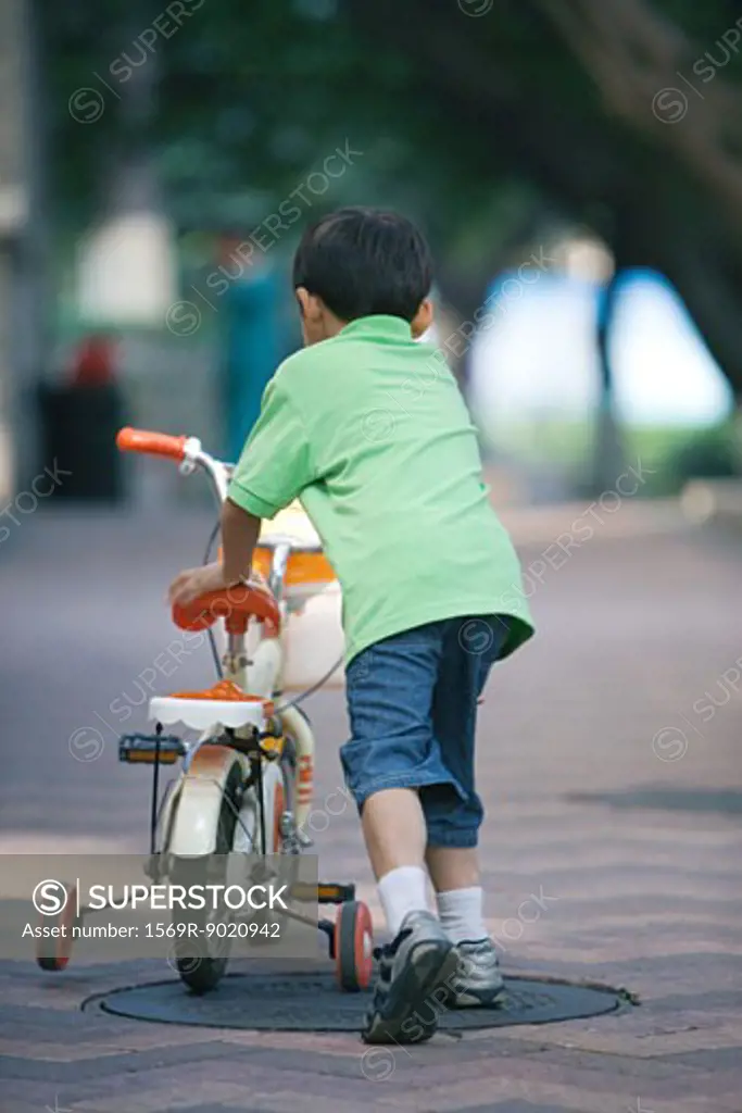 Boy walking with bicycle with training wheels, rear view