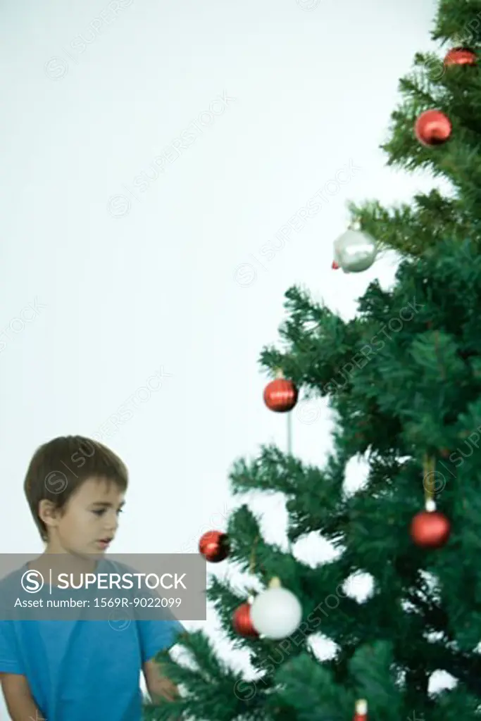 Boy standing near Christmas tree